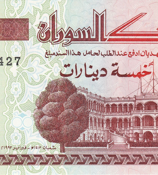 5 dinari, Sudan, 1993, UNC 005320 фото