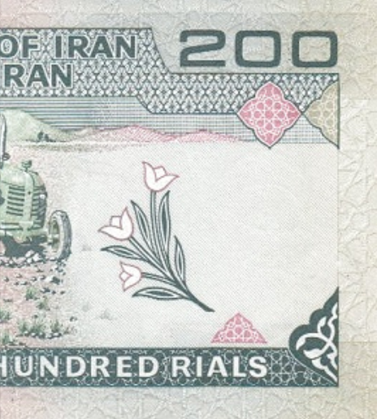 10 billetes 200 Rials, Ir&aacute;n, 1982 &ndash; 2005, UNC 004804 фото