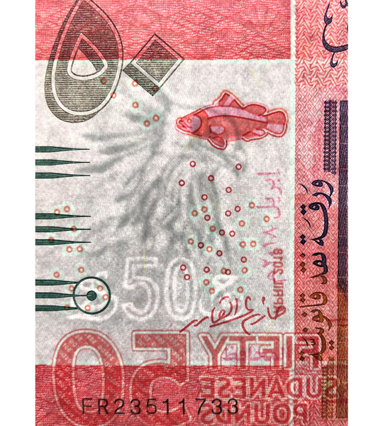 50 funtów, Sudan, 2018 rok, UNC