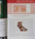 Rivista IBNS laminata, 92 pagine &mdash; n. 65_1, 2026 004974 фото 4