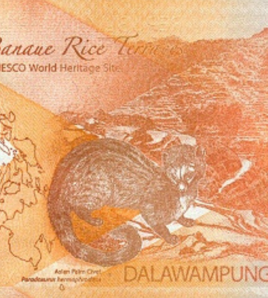 20 piso, Filipiny, 2019 rok, UNC