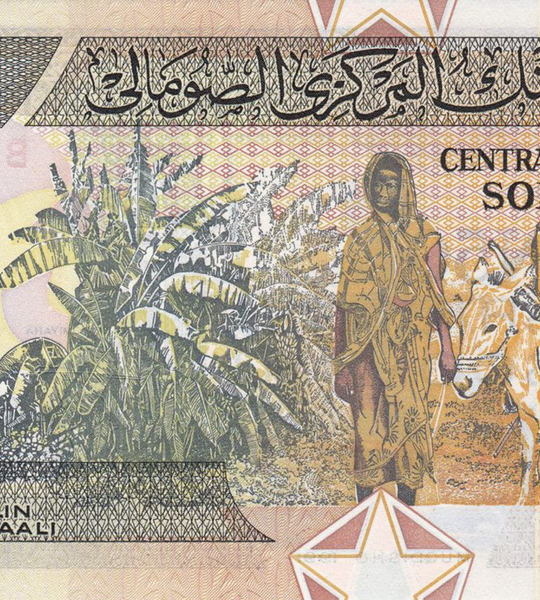 50 Шилин, Сомали, 1991 год, UNC 001789 фото