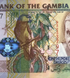 100 dalasis, Gambie, 2010, UNC 004903 фото 3