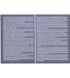 100 Lei, Romania, 2024, UNC Polimero Comm. 003331 фото 5