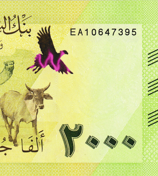 2000 sterline, Sudan, 2025, UNC 005323 фото