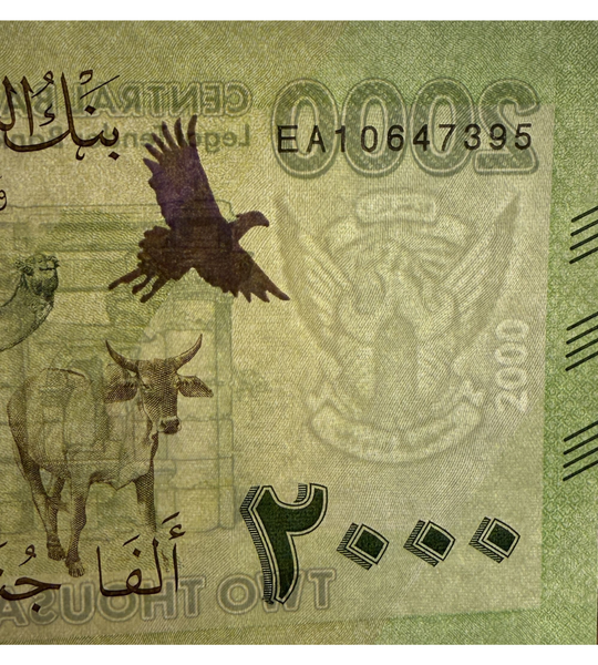 2000 sterline, Sudan, 2025, UNC 005323 фото