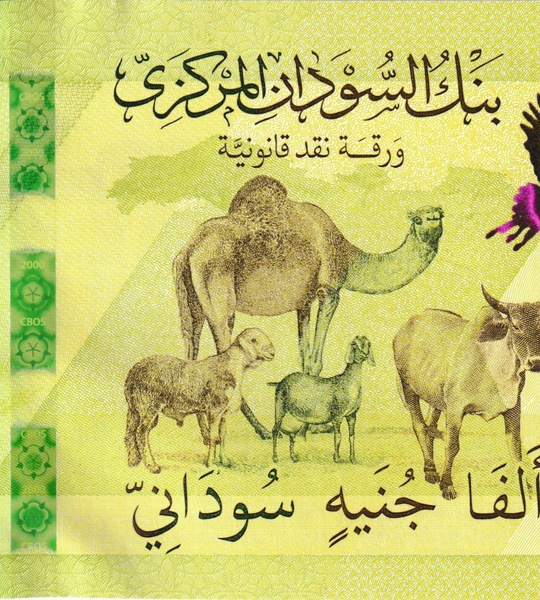 2000 sterline, Sudan, 2025, UNC 005323 фото