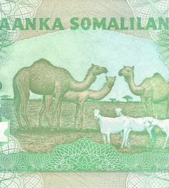 5000 Shillings, Somaliland, 2011, UNC