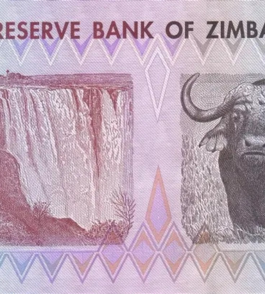 1 dollar, Zimbabwe, 2007, UNC 005276 фото