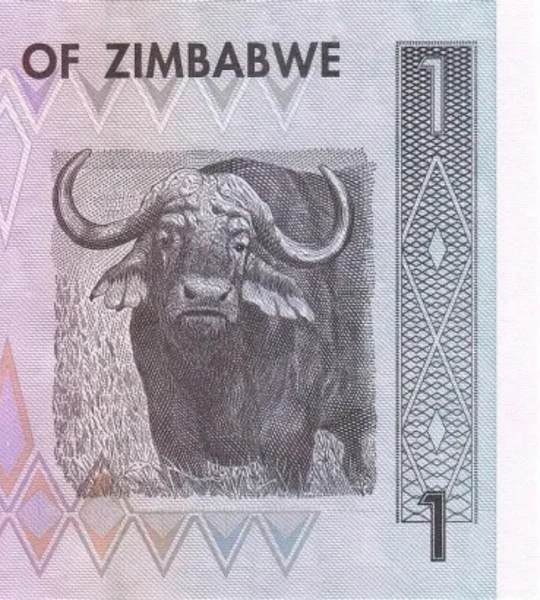 1 dollar, Zimbabwe, 2007, UNC 005276 фото