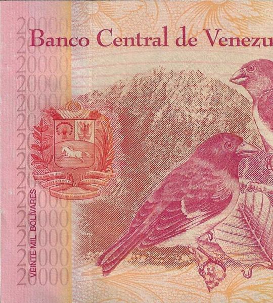 10 banconote da 20.000 Bolivares, Venezuela, 2017, UNC 001011 фото