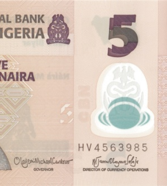 5 Naira, Nigeria, 2024, UNC Pol&iacute;mero 003533 фото