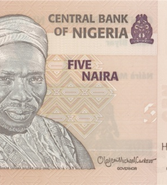5 Naira, Nigeria, 2024, UNC Pol&iacute;mero 003533 фото
