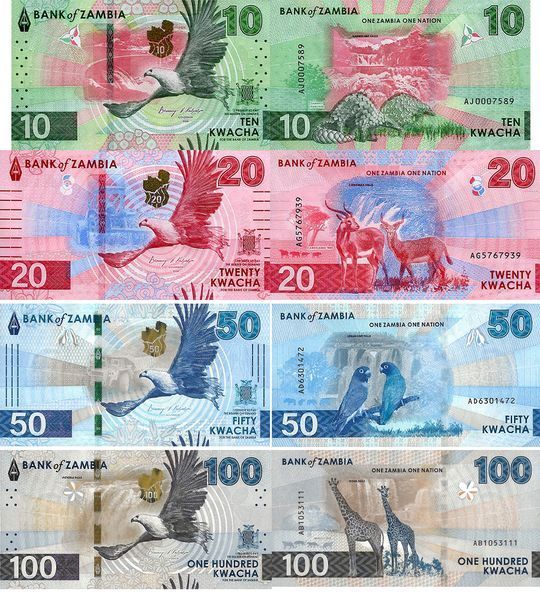 4 банкноти 10, 20, 50, 100 Kwacha, Замбія, 2024 (2025), UNC 004180 фото 4 банкноти 10, 20, 50, 100 Kwacha, Замбія, 2024 (2025), UNC 004180 фото