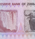 1 dollar, Zimbabwe, 2007, UNC 005276 фото 8