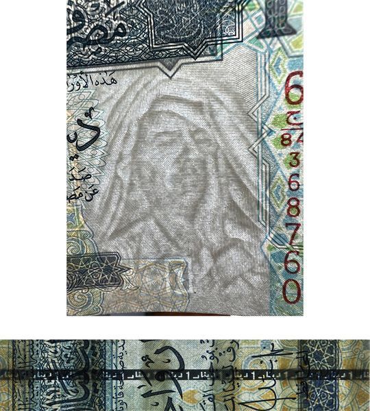 1 Dinar, Libia, 2004, UNC 003980 фото 1 Dinar, Libia, 2004, UNC 003980 фото