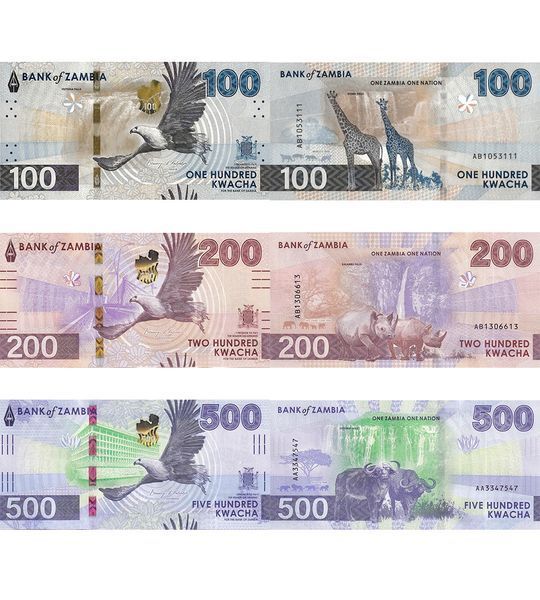 3 банкноти 100, 200, 500 Kwacha, Замбія, 2024 (2025) рік, UNC 004181 фото 3 банкноти 100, 200, 500 Kwacha, Замбія, 2024 (2025) рік, UNC 004181 фото