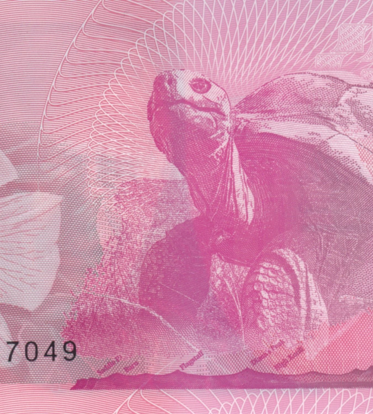10 Pounds, Острів Святої Єлени, 2026 рік, UNC 005179 фото