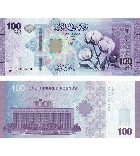 100 funtów, Syria, 2025 rok, UNC
