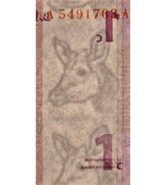 1 centime, Congo, 1997, UNC 005279 фото