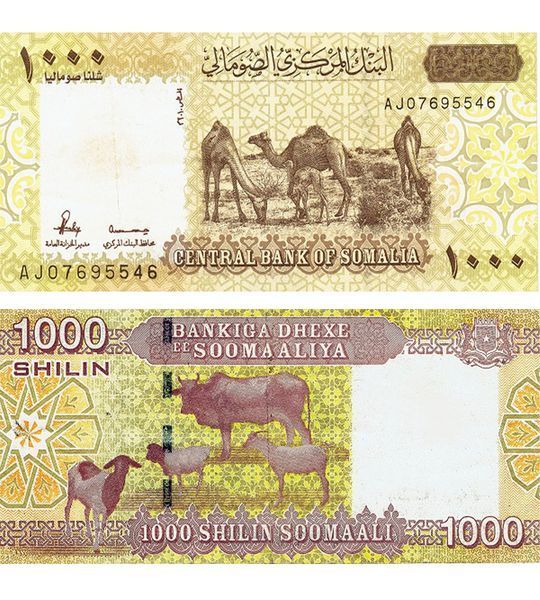 1000 Szylingów, Somalia, 2010 (2024), UNC