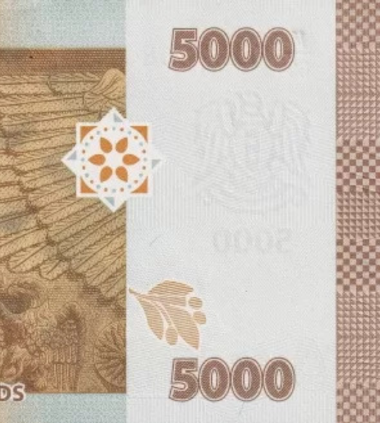 5000 Pounds, Сирія, 2023 рік, UNC 002540 фото