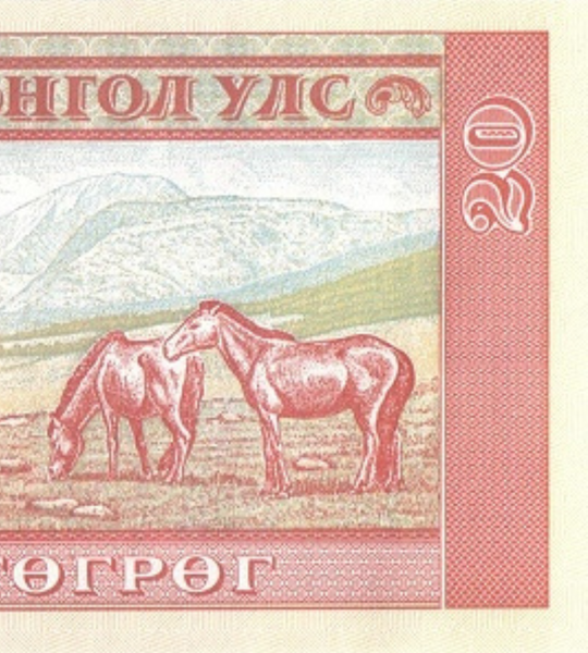 Fascio (100 banconote) da 20 Tögrög Mongoli, 2020, in qualità FDC (UNC) 004235 фото Fascio (100 banconote) da 20 Tögrög Mongoli, 2020, in qualità FDC (UNC) 004235 фото