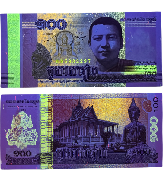 100 Riels, Камбоджа, 2014 рік, UNC 000276 фото