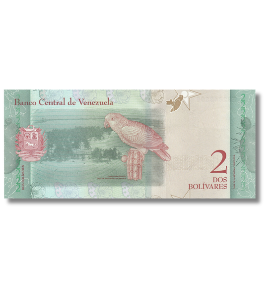 100 банкнот (пачка) 2 Bolivares, Венесуела, 2018 рік, UNC 005543 фото