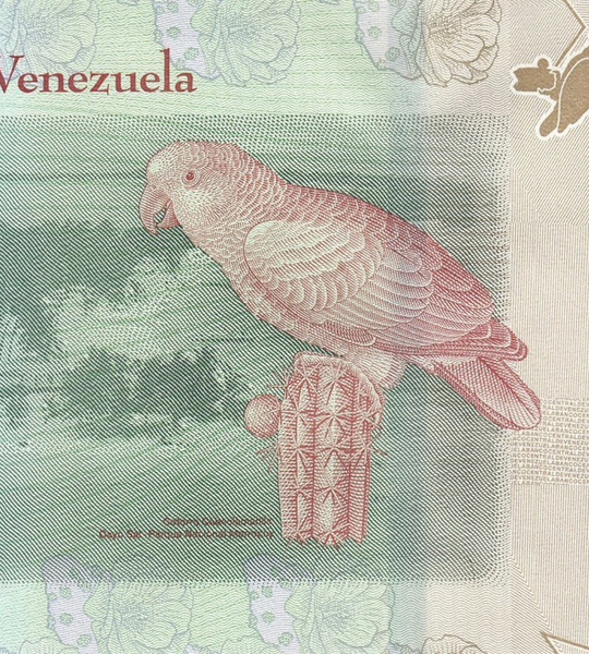 100 банкнот (пачка) 2 Bolivares, Венесуела, 2018 рік, UNC 005543 фото