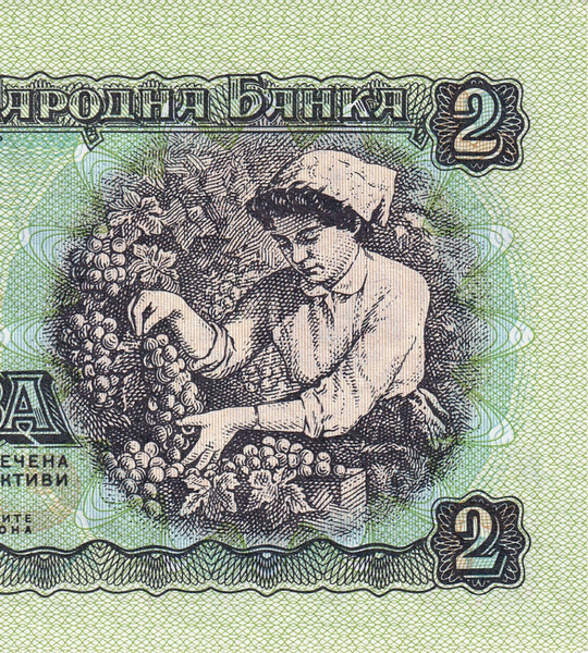 2 Leva, Болгарія, 1974 рік, UNC 005145 фото