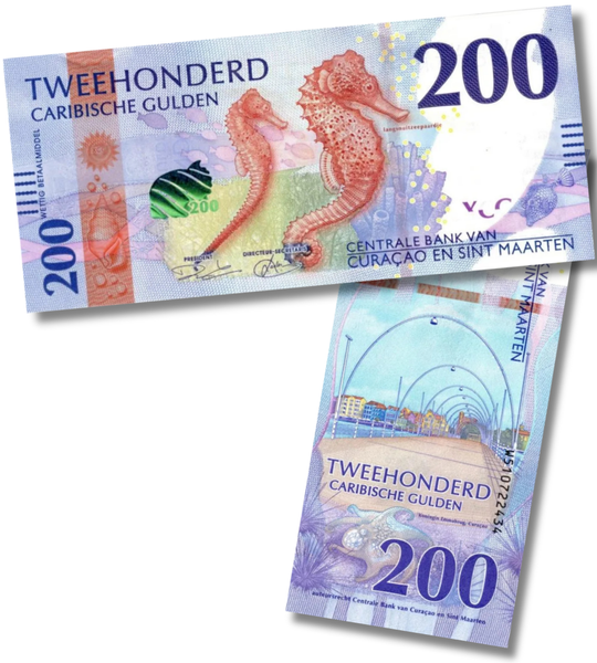 5 банкнот 10, 20, 50, 100, 200 Gulden, Кюрасао / Сінт-Мартен, 2025 рік, UNC 005343 фото