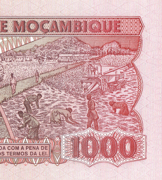 1000 meticais, Mo&ccedil;ambique, 1983, UNC 005281 фото
