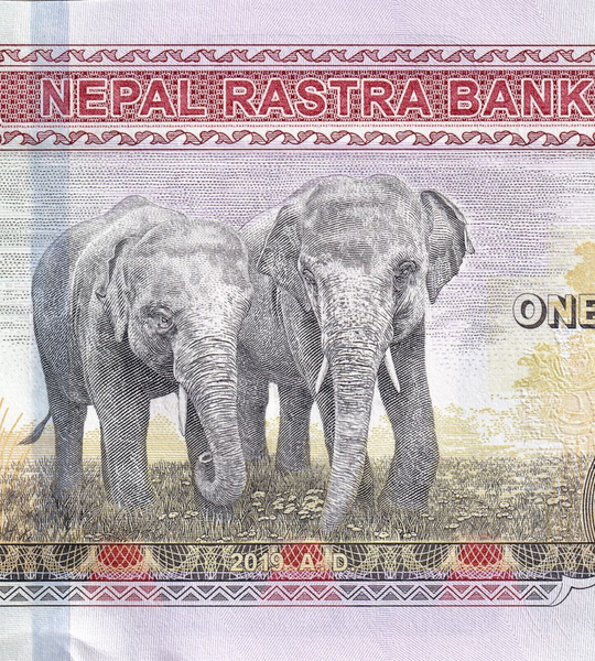 1000 rupii, Nepal, 2019 rok, UNC