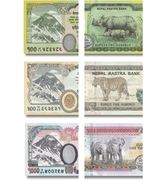 3 banknoty 100, 500, 1000 rupii, Nepal, 2019 - 2020 rok, UNC