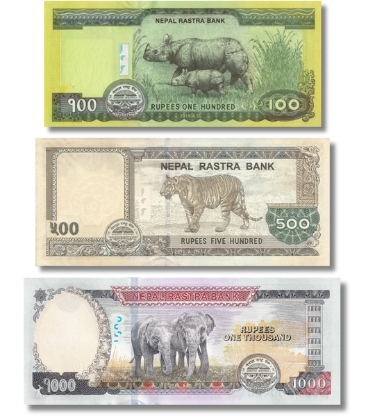 3 banknoty 100, 500, 1000 rupii, Nepal, 2019 - 2020 rok, UNC