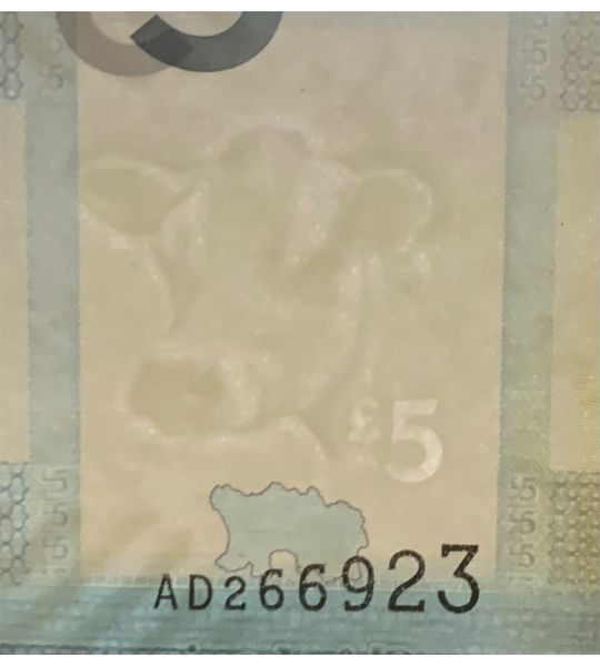 5 Pounds, Jersey, 2010, UNC