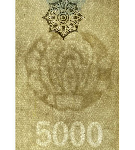 5000 Sum, Uzbekistan, 2013, UNC
