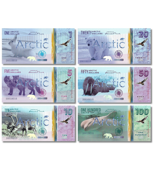 6 banconote 1, 5, 10, 20, 50, 100 Dollari, Territori Artici, anno 2020, UNC 005431 фото
