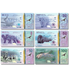 6 banconote 1, 5, 10, 20, 50, 100 Dollari, Territori Artici, anno 2020, UNC 005431 фото 2