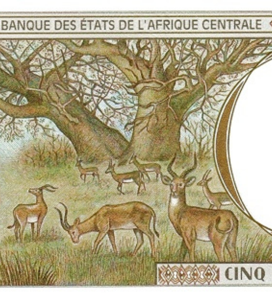 500 franków, Czad, 2000 rok, UNC