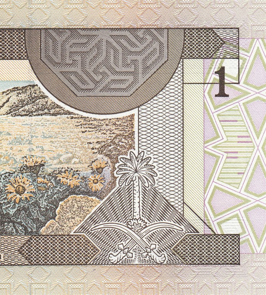 1 riyal, Arabia Saudita, 1984, UNC 005287 фото