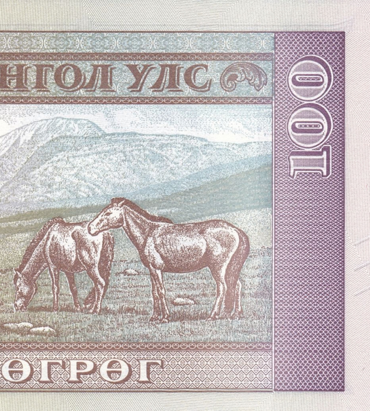 100 банкнот (пачка) 100 Togrog, Монголія, 2020 рік, UNC 005535 фото