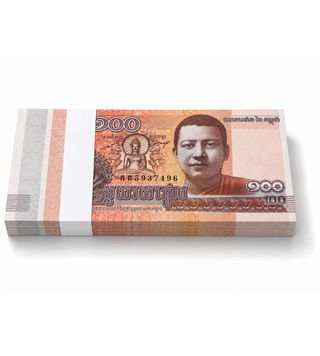 100 банкнот 100 Риелей, Камбоджа, 2014 год, UNC 002549 фото