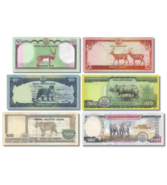 6 banknotes 10, 20, 50, 100, 500, 1000 Rupees, Nepal, 2019 - 2020, UNC