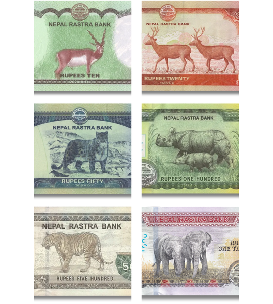 6 banknotes 10, 20, 50, 100, 500, 1000 Rupees, Nepal, 2019 - 2020, UNC