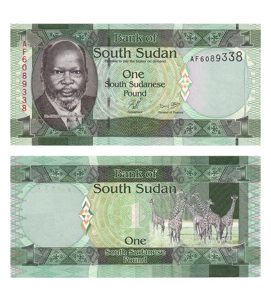 1 Pound, Південний Судан, 2011 рік, UNC 001174 фото