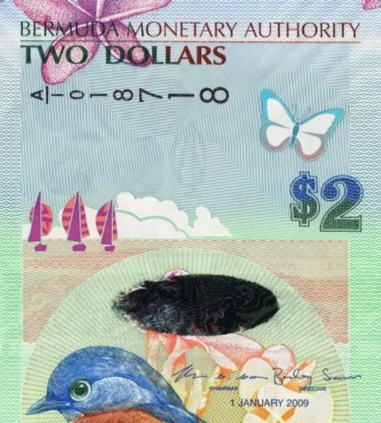 2 Dolary, Bermudy, rok 2009, aUNC