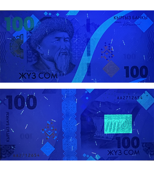 100 Som, Kirghizistan, 2023, UNC Comm&eacute;morative 005688 фото