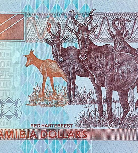 20 dolarów, Namibia, 2002 rok, UNC